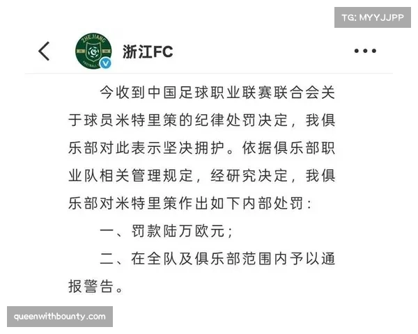 米特里策暴力拉拽遭重罚，浙江外援停赛四场影响阵容